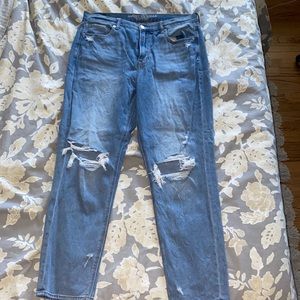 American Eagle Mom Jean